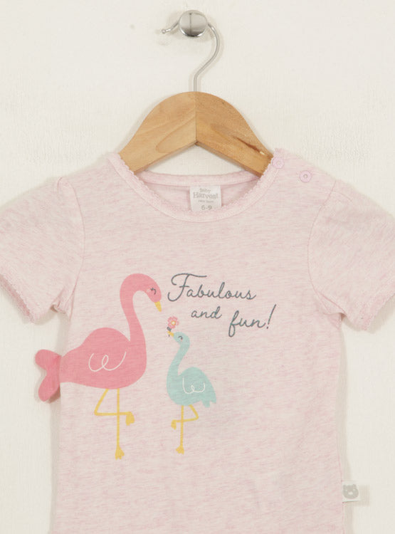 BODY BABY HARVEST OPENBOX