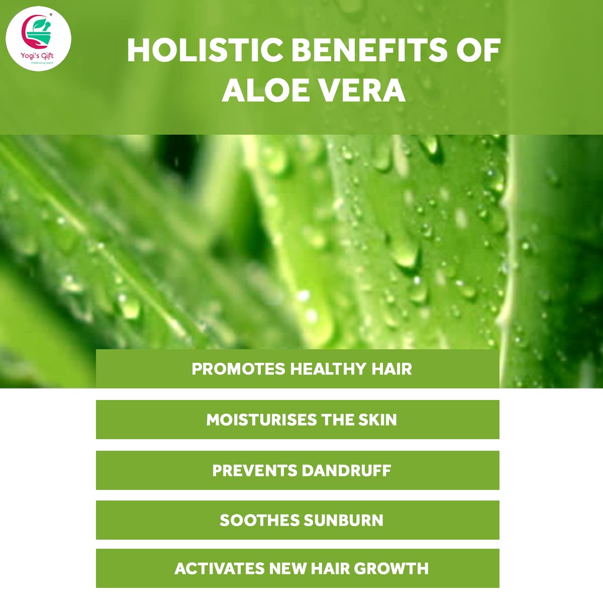 Polvo de Aloe Vera 8 Oz (227 gr)