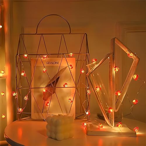 Cable de Luces LED de 300 cm/30 Lámparas