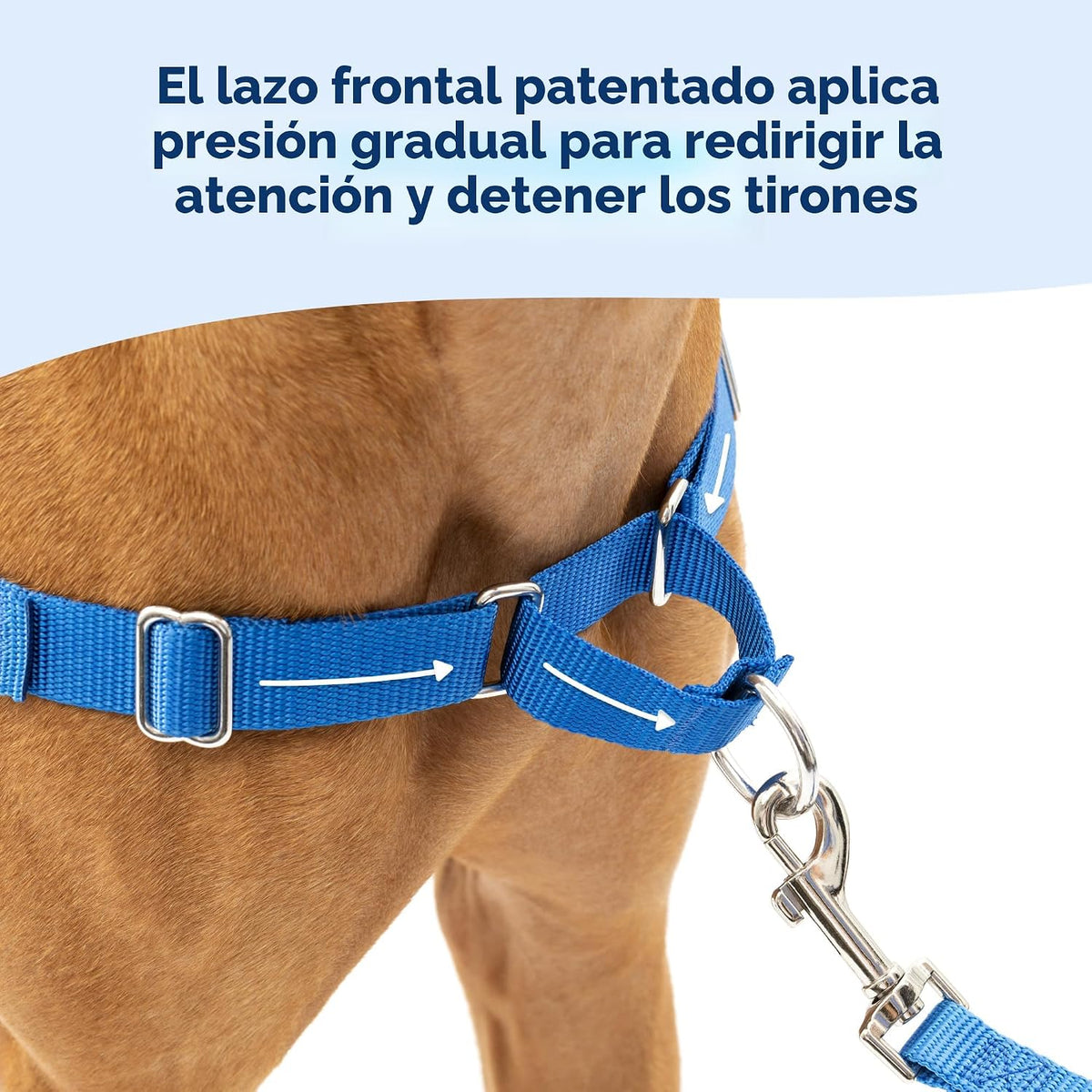 Arnés Antitirones para Perros PetSafe Easy Walk Gris Carbón