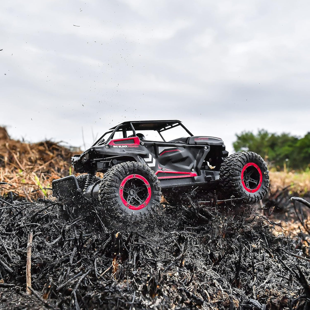 BEZGAR Coche de control remoto de grado 1:14 de juguete rojo, 2WD de alta velocidad