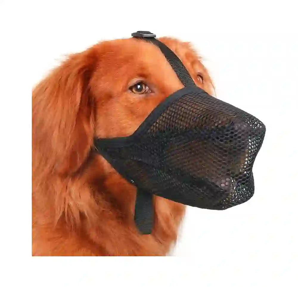 Bozal para Perros Mayerzon Soft Mesh | Bozal Transpirable Ajustable Antimordidas y Antiescavado