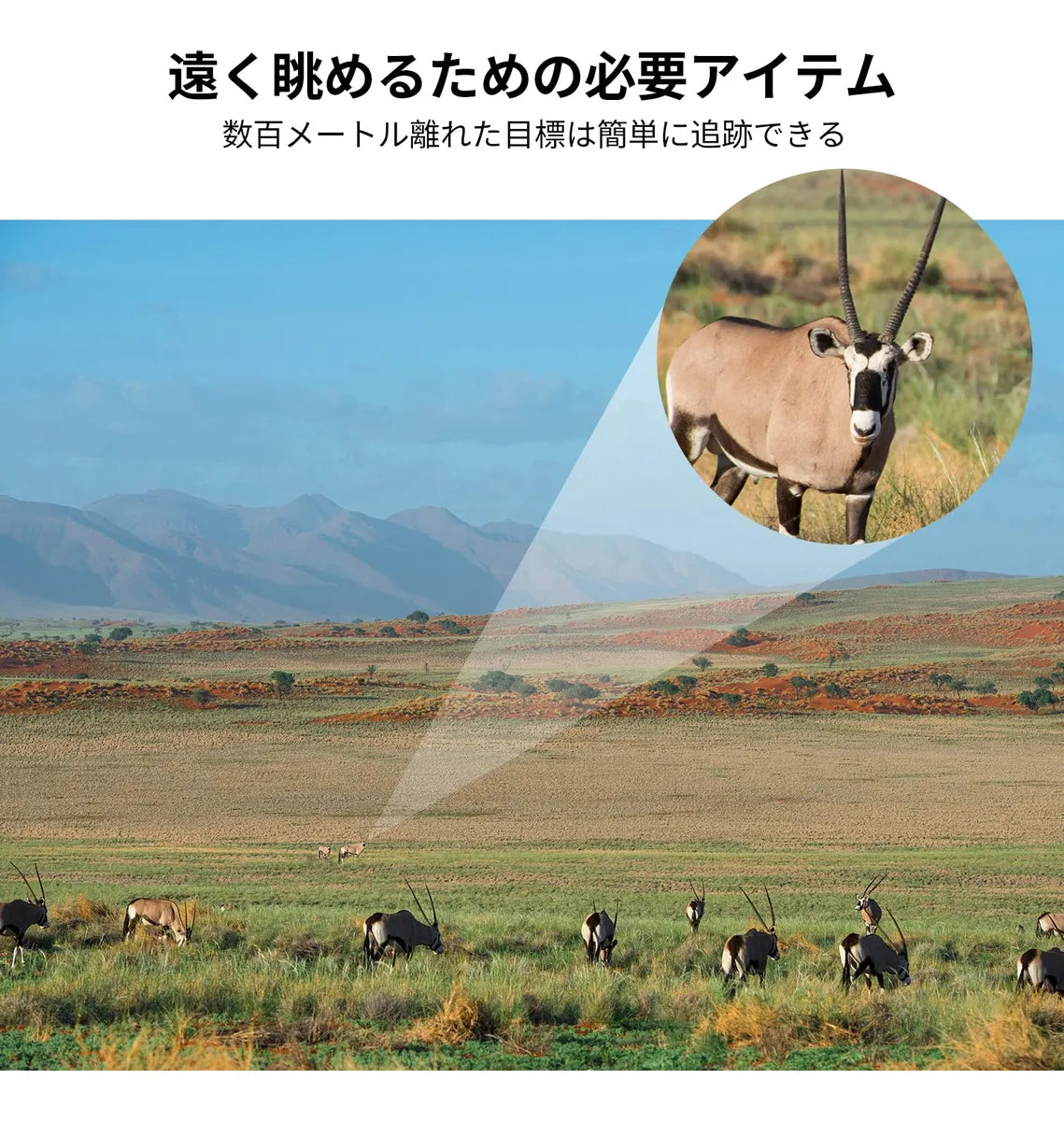 Telescopio Monocular K&f Concept Ip68 Impermeable 12x50 Hd