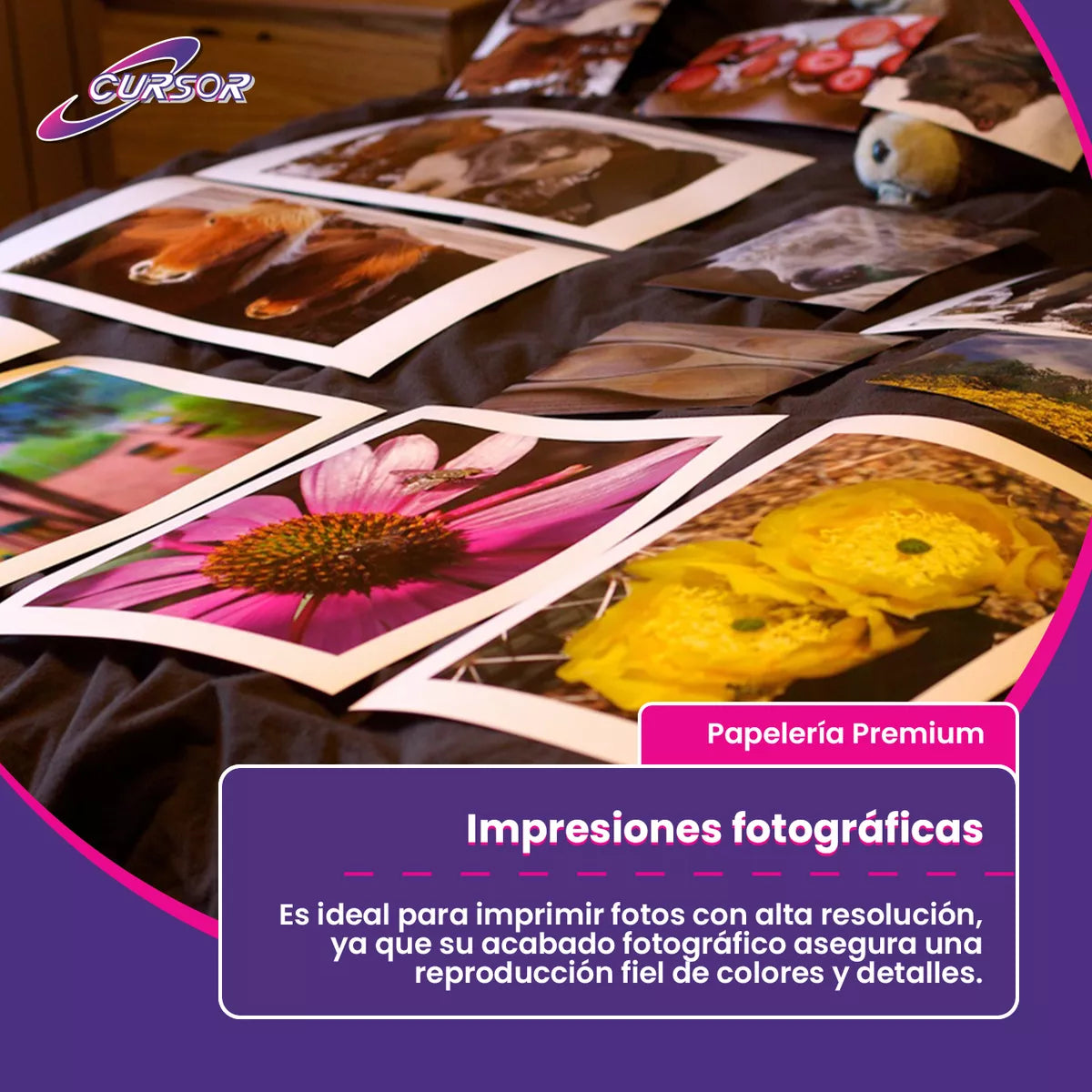 Papel Adhesivo Glossy Antioxido A4 - 115g - 100 Hojas