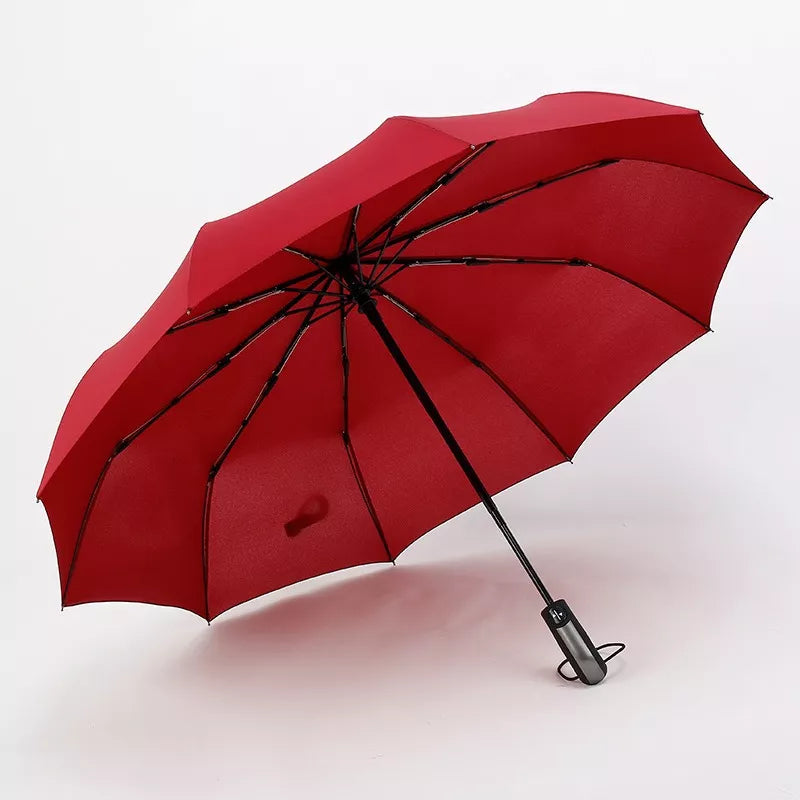 Paraguas Automatico 10 huesos