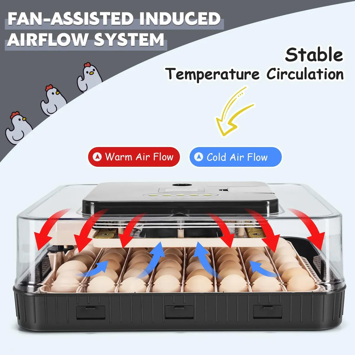 Incubadora Automática Sailnovo para 56 Huevos con Volteo Automático 120V
