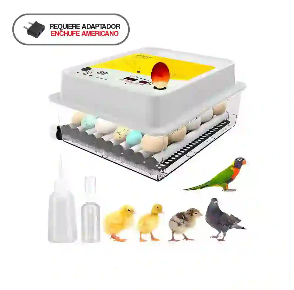 Incubadora De Huevos Obi-36 Para 36 Huevos con Control De Temperatura 110V