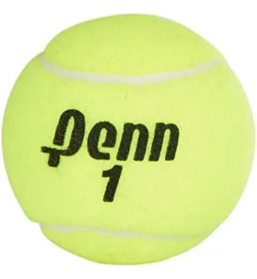 Pelotas Tenis Penn Championship Extra Duty 36 Unidades