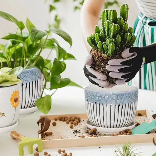 Set 3 Maceteros Maceta De Cerámica Blancos Flores Y Líneas