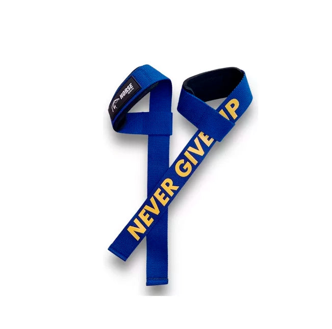 Straps Gym Mancuernas Pesas Crossfit Gimnasio Color Azul