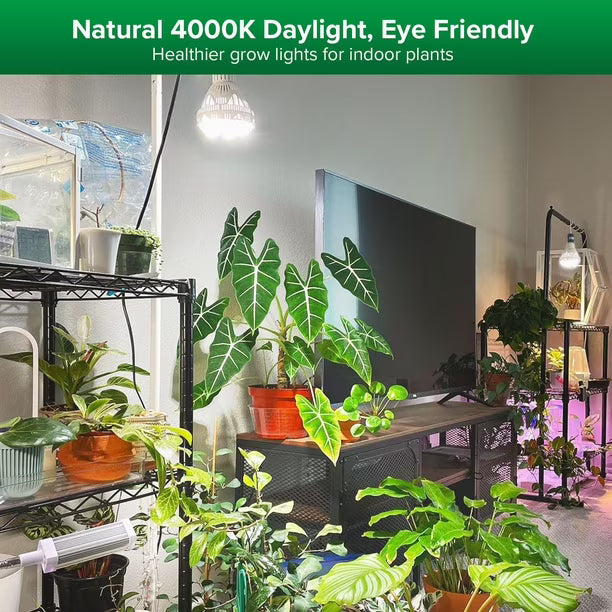 Bombilla SANSI 36W de espectro completo 4000K 65,6 PPF GROW LIGHT