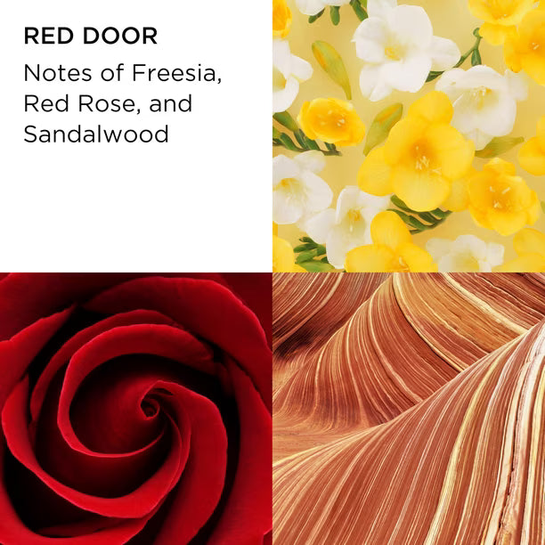 Set de Regalo Elizabeth Arden Red Door Mujer 100 ml – 3 Piezas