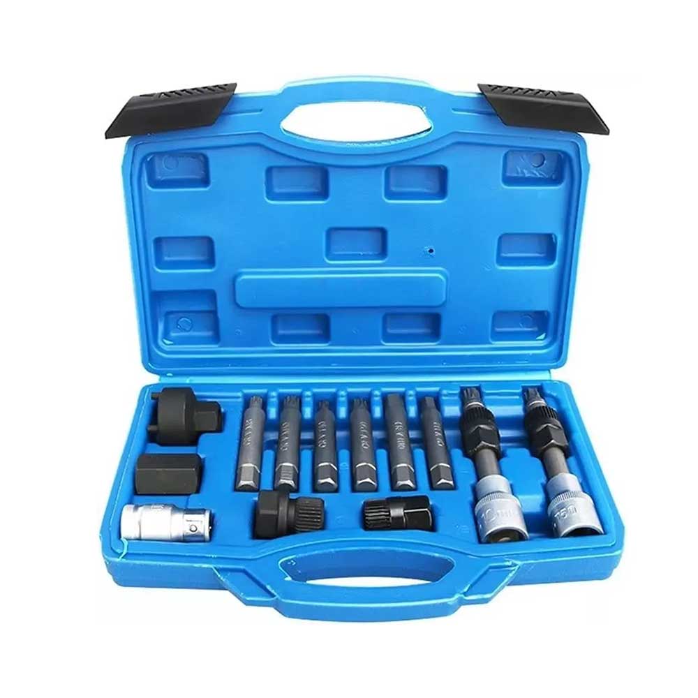 Juego Dados Extractor Poleas Alternador Alternadores 13pcs