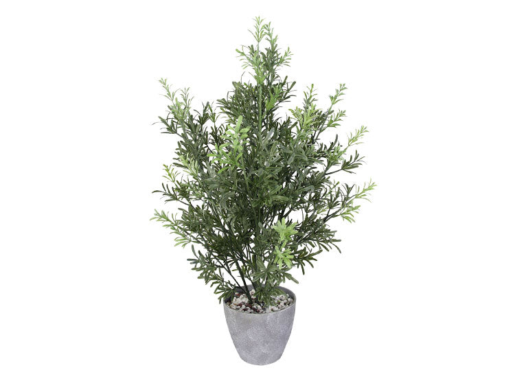 ARBUSTO RIPLEY HOME CON MACETA