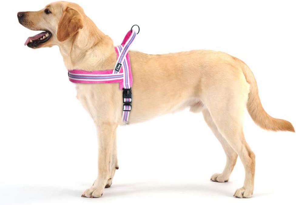 Arnés de chaleco para perro acolchado de franela suave Didog