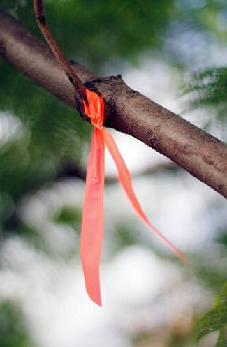 Pack 5 Cintas De Alta Visibilidad Neon Camping Caza Supervivencia Rollos de marcado para Senderismo