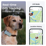 Ubicación En Tiempo Real Del Gps Dog 2025