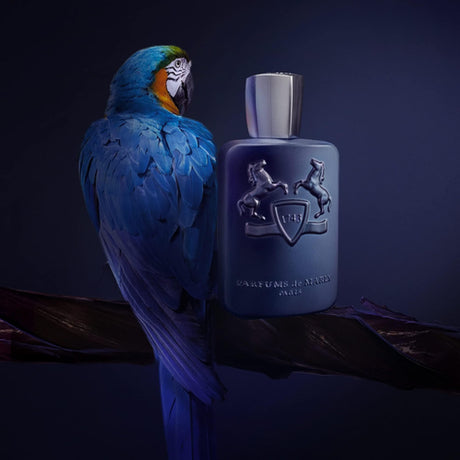 Parfums de Marly Layton Eau de Parfum 125 ml – Open Box