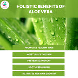 Polvo de Aloe Vera 8 Oz (227 gr)