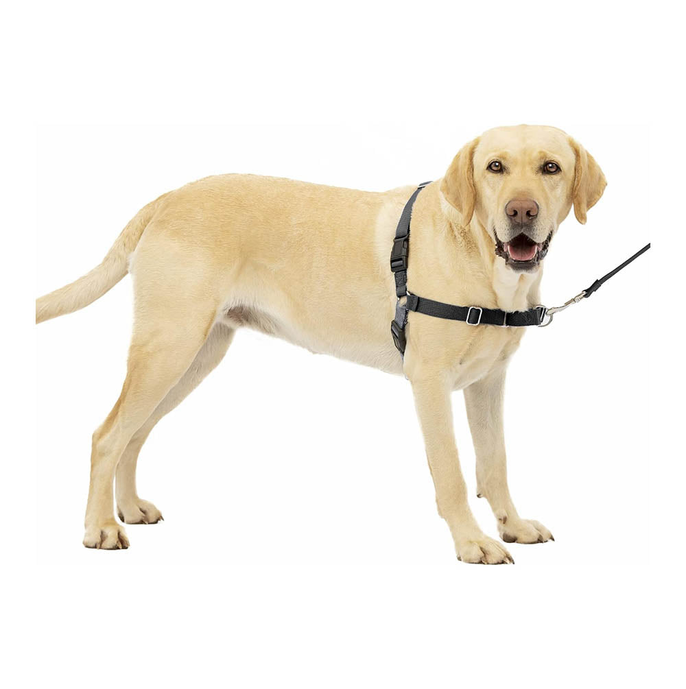 Arnés Antitirones para Perros PetSafe Easy Walk Gris Carbón