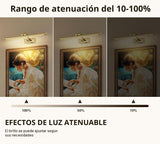 DESOOP Lámpara Inalámbrica para Cuadros 24" – LED Cálida Recargable con Control Remoto