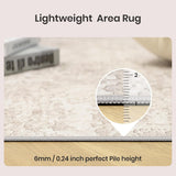 Alfombra Art&Tuft Beige 274 × 366 cm – Lavable, Antideslizante y Diseño Abstracto