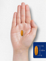 Suplemento de Fosfatidilcolina Carlyle 3.800 mg – 90 Cápsulas Blandas