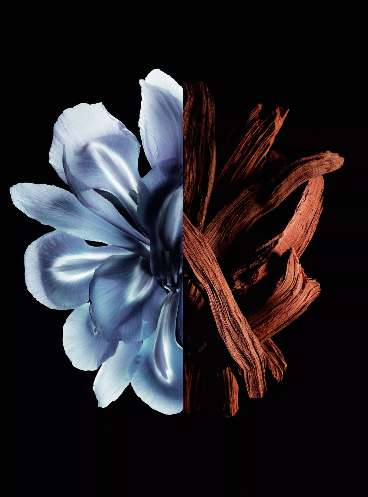 Perfume Givenchy Gentleman Réserve Privée EDP Hombre