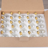 Bombilla Incandescente De Tungsteno Globe 25 Unidades