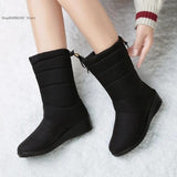 Botas cálidas de piel para Mujer, botines de nieve impermeables con borlas, color negro