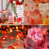 Cable de Luces LED de 300 cm/30 Lámparas