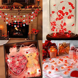 Cable de Luces LED de 300 cm/30 Lámparas