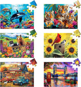 Set de Rompecabezas 6 en 1 de Piezas Grandes | 6 Puzzles de 24 Piezas para Niños y Adultos