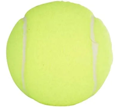 Pelotas Tenis Penn Championship Extra Duty 36 Unidades