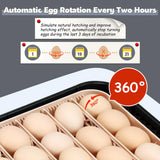 Incubadora Automática Sailnovo para 56 Huevos con Volteo Automático 120V