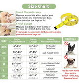Bozal para Perros Mayerzon Soft Mesh | Bozal Transpirable Ajustable Antimordidas y Antiescavado