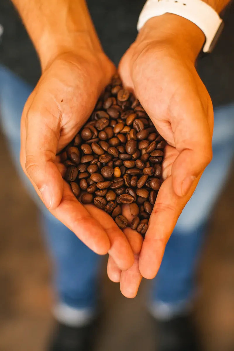 Filtros Aeropress 350 Unidades