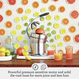 Exprimidor de Cítricos Breville 800CPXL Citrus Press Pro – Acero Inoxidable  – 120 V
