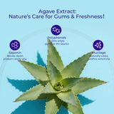 Pasta Dental Occotaps Con Agave Para Dientes Sensibles