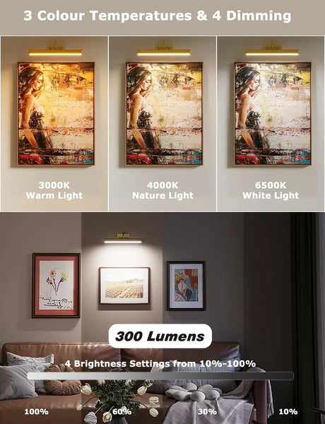 Luz Para Cuadros Skairipa A Batería 33cm Inalámbrica