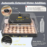 Incubadora Automática Sailnovo para 56 Huevos con Volteo Automático 120V