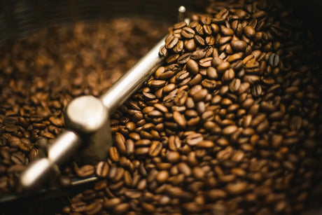 Filtros Aeropress 350 Unidades