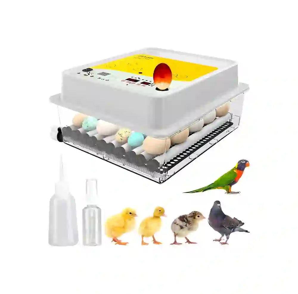 Incubadora De Huevos Obi-36 Para 36 Huevos con Control De Temperatura 110V