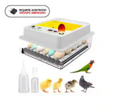 Incubadora De Huevos Obi-36 Para 36 Huevos con Control De Temperatura 110V