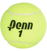 Pelotas Tenis Penn Championship Extra Duty 36 Unidades