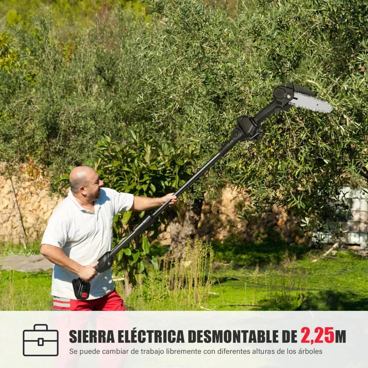 Minisierra Pértiga Ajustable 2 En 1 / 2,25 M + 2 Baterías