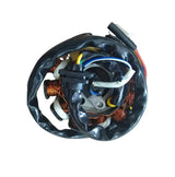 Bobina de Carga Estator de 11 Polos para Motocicleta Matrix Scooter