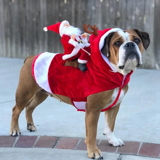 Disfraces de navidad para mascotas, disfraz divertido de papá noel