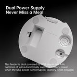 Dispensador automático de alimentos para mascotas Gato o Perro