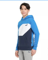Poleron Hoodie Puma Juvenil